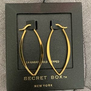 Secret Box Gold Dipped Earrings